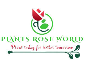 PlantsRoseWorld